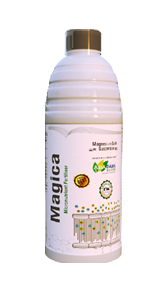 MAGICA